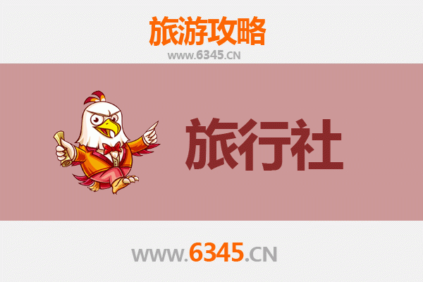 株洲芦淞区本地旅行社推荐与深度游玩攻略